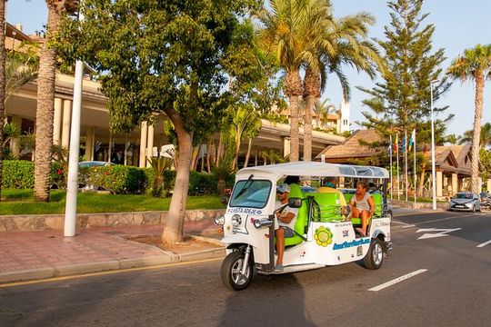 Secret Volcano Tour by Tuk Tuk in Costa Adeje