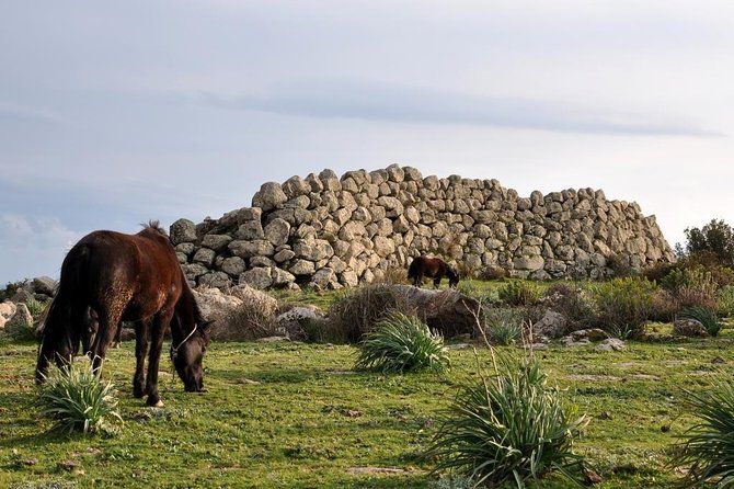Barumini Unesco Site and Giara of Gesturi Tour from Cagliari