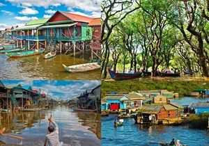 Kompong Phluk Floating village & Mangrove forest cruise