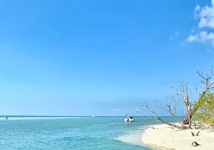 Half-Day Private Tiki Boat Beach Tour from Fort Myers