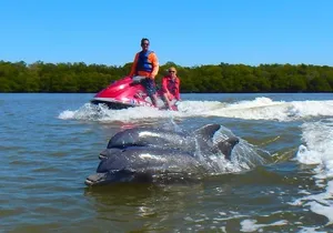 Avi's Premium Dolphin Tour by Jet Ski