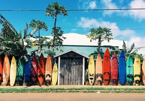 Transportation to North Shore