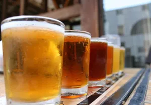 Underground Brooklyn Walking Brewery Tour