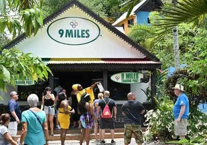 Bob Marley's Nine Mile Admission and Guided Tour from Montego Bay