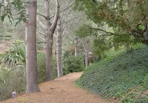 Hidden Nature Walks in the City Private Tour