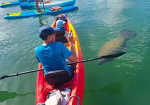 Mangroves, Manatees, and a Hidden Beach: Kayak Tour