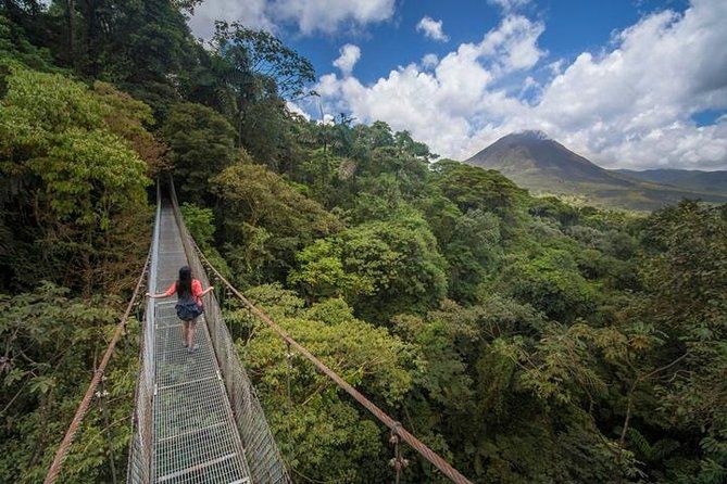 Arenal Hanging Bridges Hiking Tour
