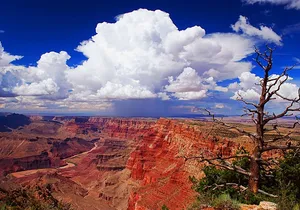 3 Hour Off-Road Sunset Safari to Grand Canyon with Entrance Gate Detour