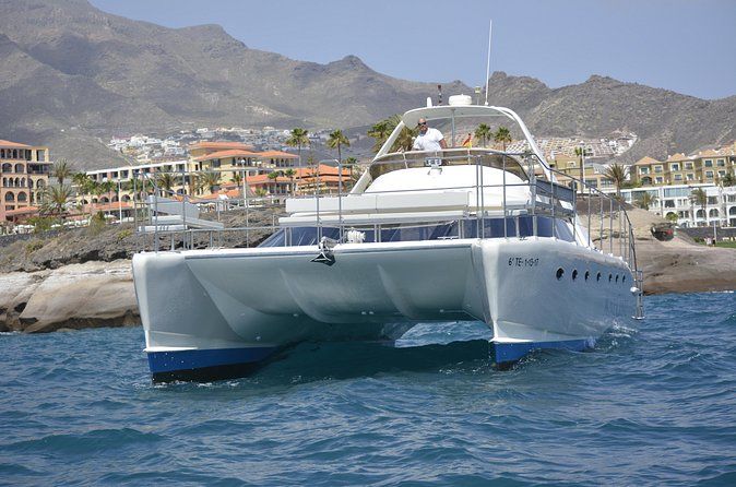 Tenerife Whale Watching Catamaran Cruise with Transfer and Buffet