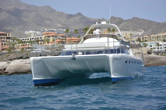 Tenerife Whale Watching Catamaran Cruise with Transfer and Buffet
