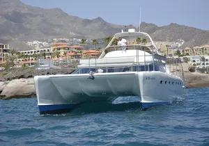 Whale Watching Catamaran Cruise with Transfer, Buffet by MC