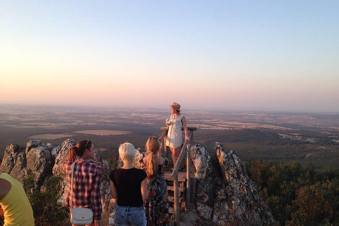 Ribera del Duero Winery Guided Tour and Wine Tasting from Madrid