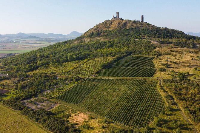 A delightful wine tasting in the scenic countryside with lunch
