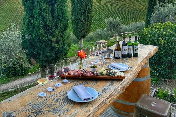 Semi Private Deep Wine Chianti and San Gimignano from Florence