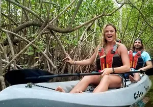 Mangrove Tunnels, Dolphins, Manatee Tour #1 Rated in Cocoa Beach