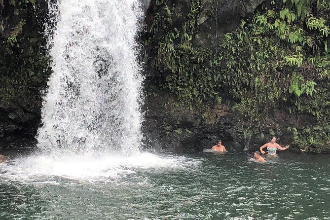 Private Tour : OAHU, MAUI, KAUAI or BIG ISLAND : Pick any Island