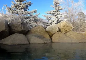 Chena Hot Springs Round Trip Tour