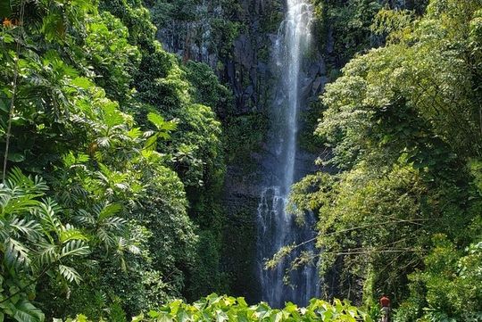 Maui Exclusive - Road to Hana Adventure - Just for Your Group