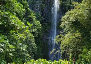 Maui Private Tour - Road to Hana Adventure - Just for Your Group