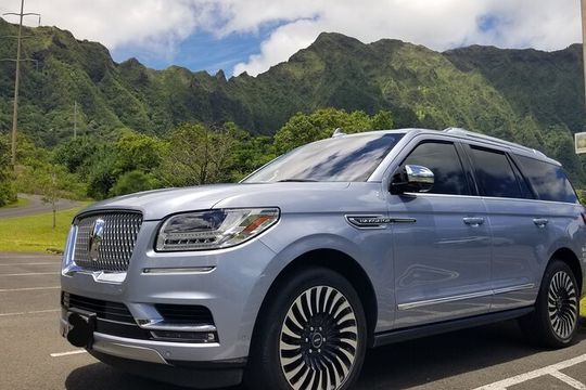 Dole,Garlic Shrimp, Northshore Customizable Group Priced Tour