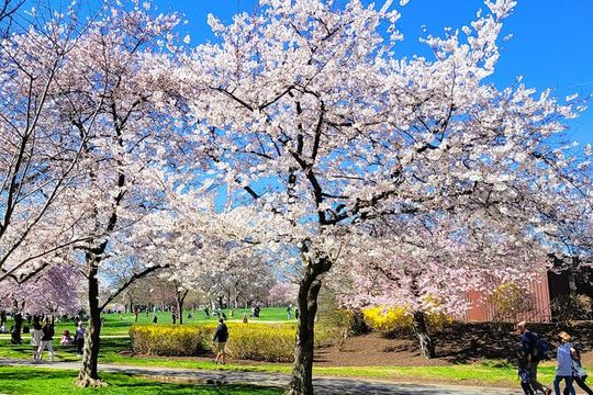 Private Washington DC Tour with Changing of the Guard Ceremony