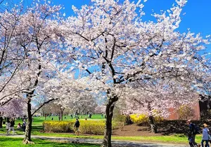 Private Washington DC Tour with Changing of the Guard Ceremony