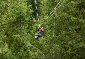 Rainforest Canopy & Zipline Adventure in Ketchikan, AK