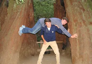 Half-Day Private Tour of Muir Woods & Sausalito from San Francisco