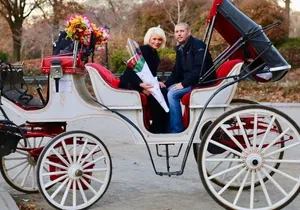 60 min surprise proposal carriage ride