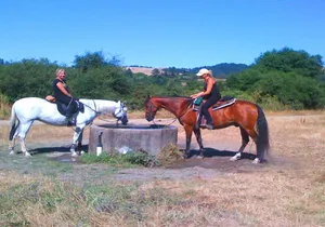 Private Horseback Riding and Muir Woods Adventure from San Francisco