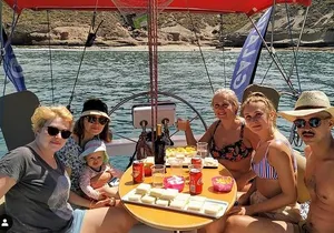 Whale and Dolphin Small Group Sailing from Tenerife South