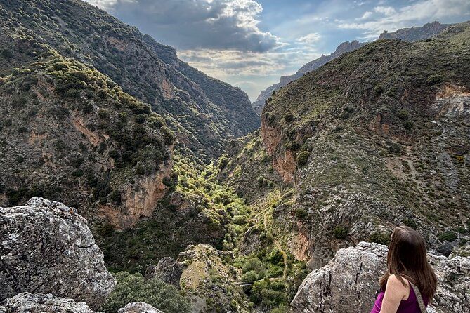 Sierra Nevada Safari – Small Group Tour Up to 2,500 Meters