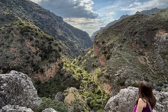 Sierra Nevada Safari – Small Group Tour Up to 2,500 Meters