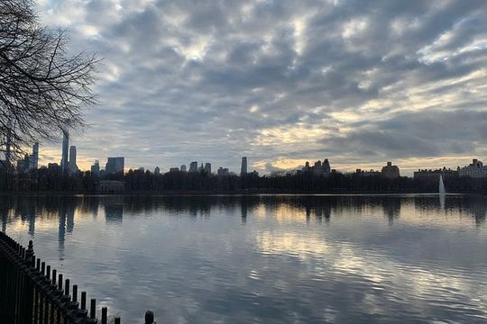 Private Walking Tour: 5th Avenue and the Gilded Age Mansions