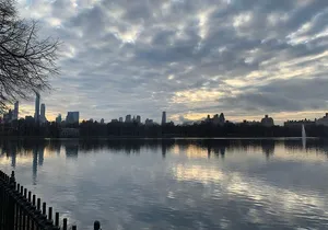 Private Walking Tour: 5th Avenue and the Gilded Age Mansions