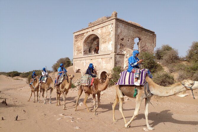 Essaouira Camel Ride, Quad Bike & Buggy Adventure