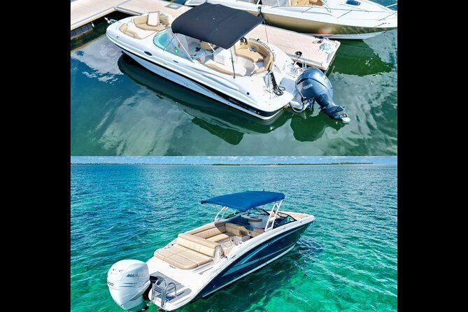 Private Half Day Stingray City, Snorkeling and Starfish Beach Tour