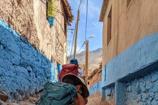 Guided Kayak Eco Tour - Bunche Beach