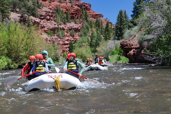 Telluride Morning Half Day Rafting Trip - San Miguel River
