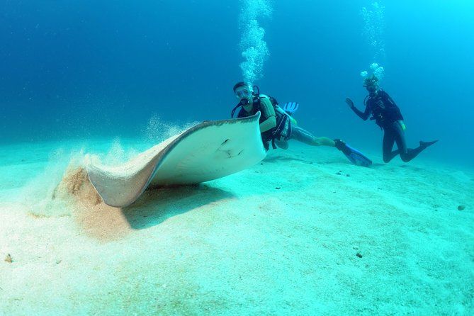 St Maarten Scuba Diving for Certified Divers