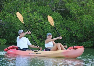 Nauti Exposures - Guided kayak tour through the Mangroves