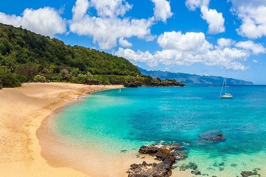 Pearl Harbor & Mini Circle Island Tour from Waikiki