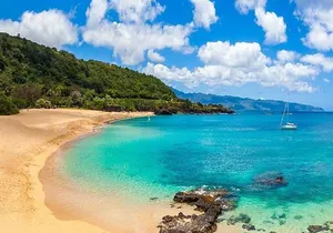 Pearl Harbor & Mini Circle Island Tour from Waikiki