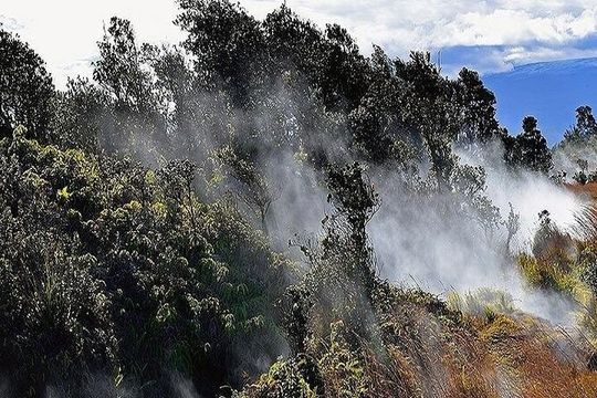 Hawaii Volcanoes National Park Experience from Maui