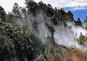 Hawaii Volcanoes National Park Experience from Maui