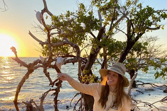 Clear Kayak Guided Eco Tour in North Naples