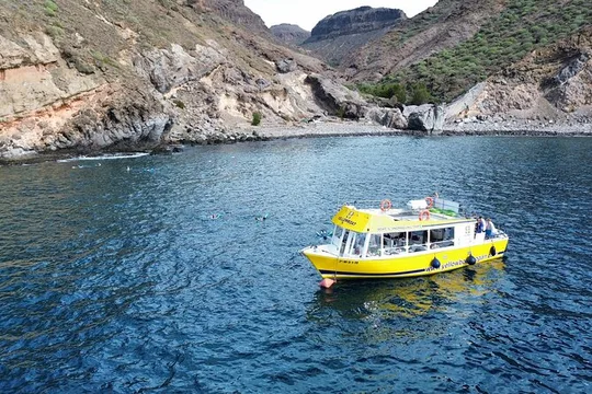Puerto de Mogán: Coastal Cruise with Optional Snorkeling & Lunch