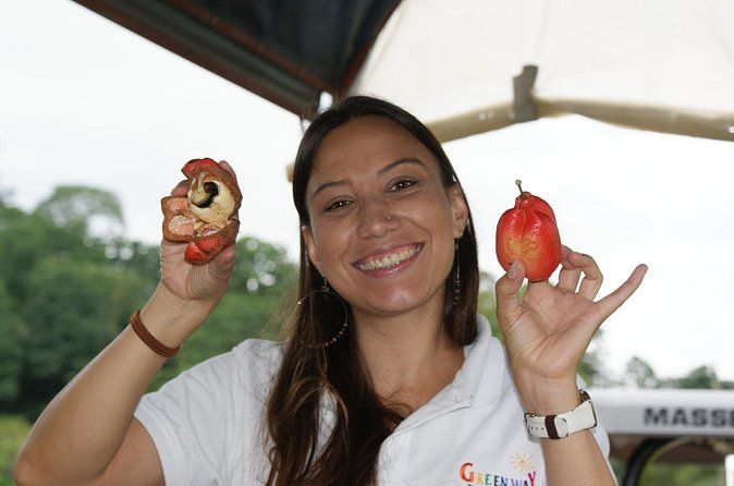 Puerto Limon Highlights. 6 in 1 combo Tour. Shore Excursion