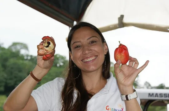 Puerto Limon Highlights. 6 in 1 combo Tour. Shore Excursion