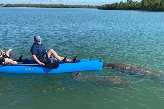 Easy Ride Pedal Kayak Tour Marco Island & Naples (Pedal or Paddle